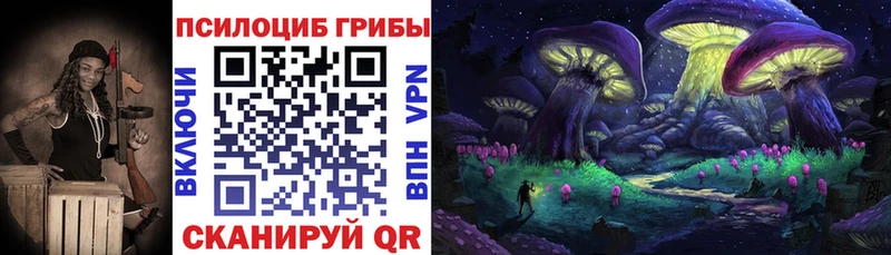 цена   Керчь  Псилоцибиновые грибы Magic Shrooms 